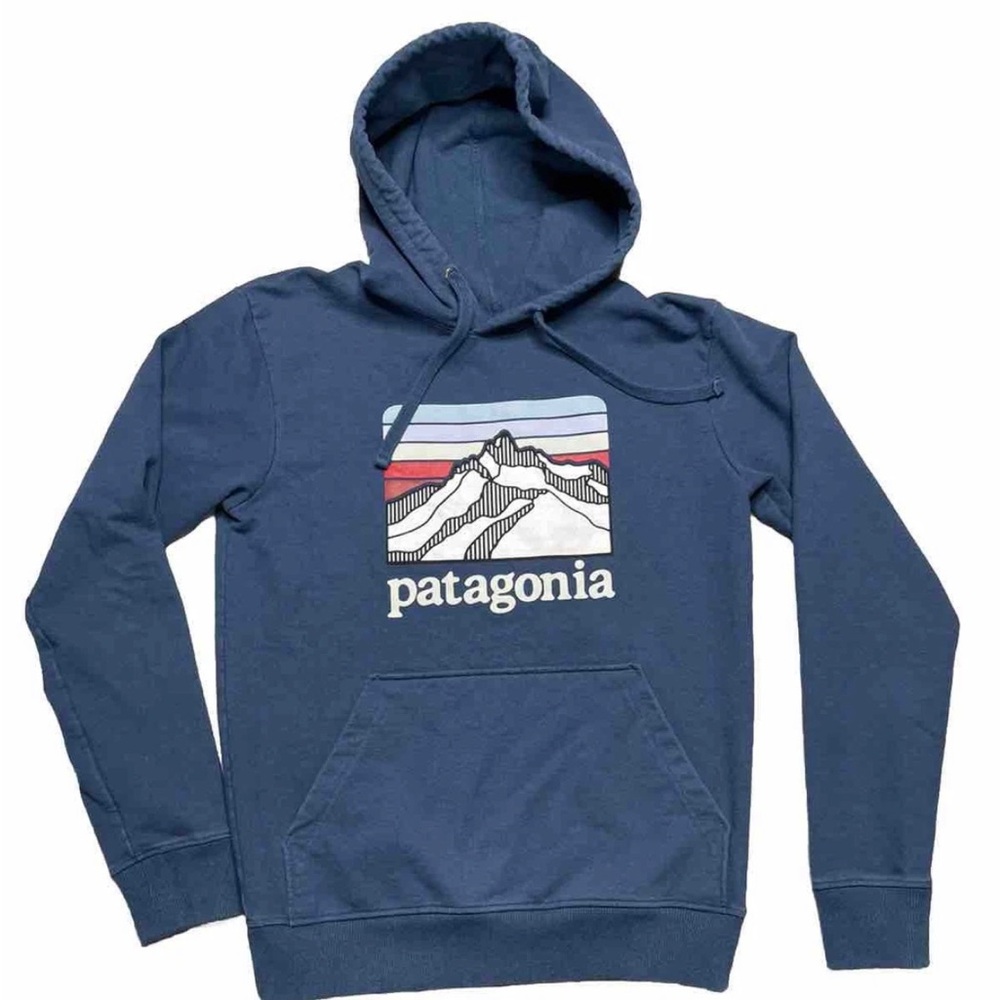 Patagonia Men's Blue Graphic Pullover Hoodie size XS